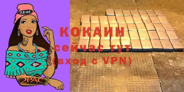 индика Нефтегорск
