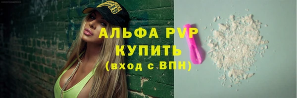 индика Нефтегорск