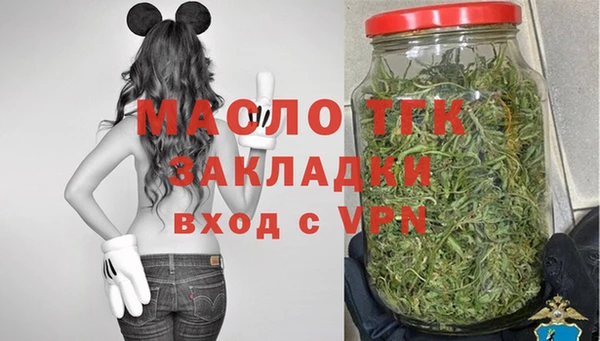 индика Нефтегорск