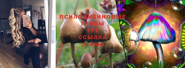 индика Нефтегорск